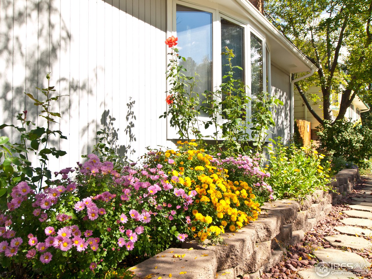 534 Del Clair Road Fort Collins, CO 80525 - Photo 4 of 25 Flower beds