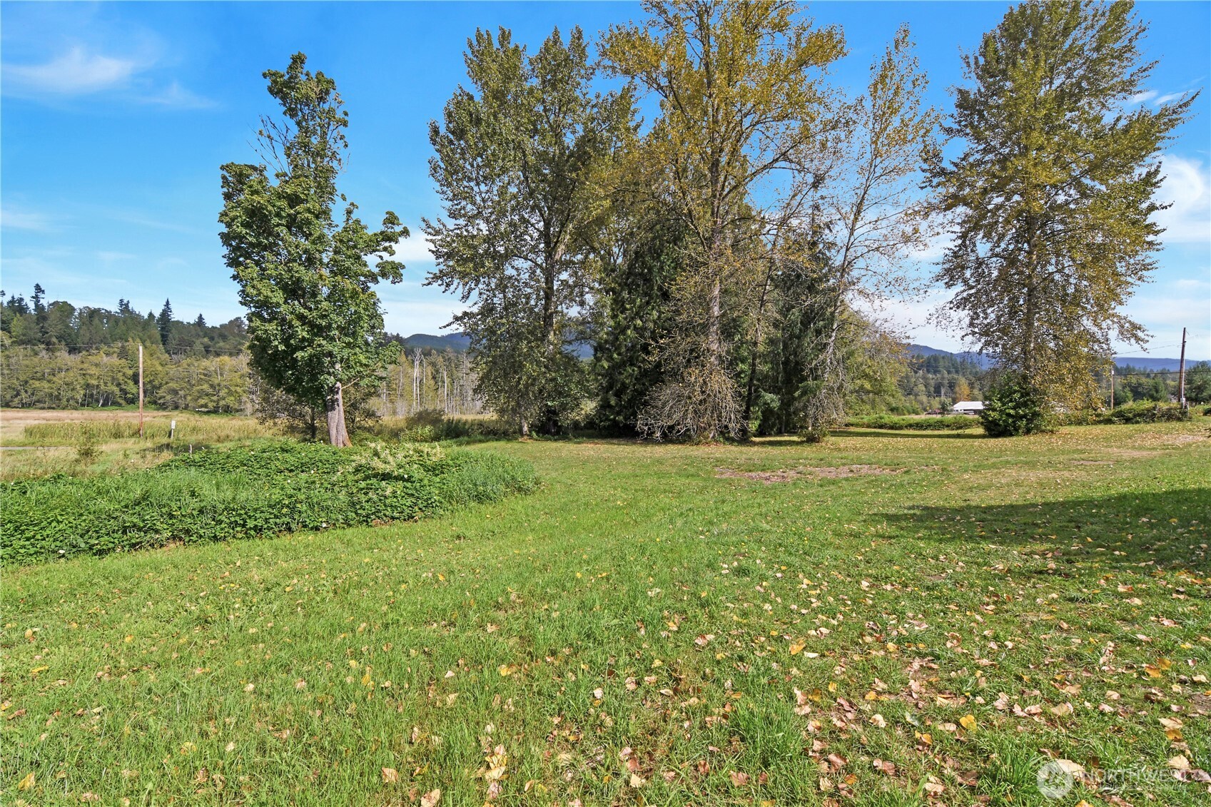 32711 Hamilton Cemetery Road Sedro-Woolley, WA 98284 - Photo 24 of 38 Gallery Image 24
