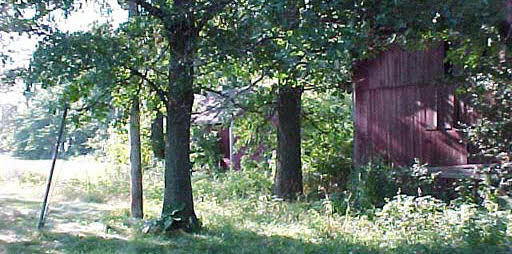 8372 Manchester Road Capron, IL 61012 - Photo 5 of 6 a view of backyard with green space
