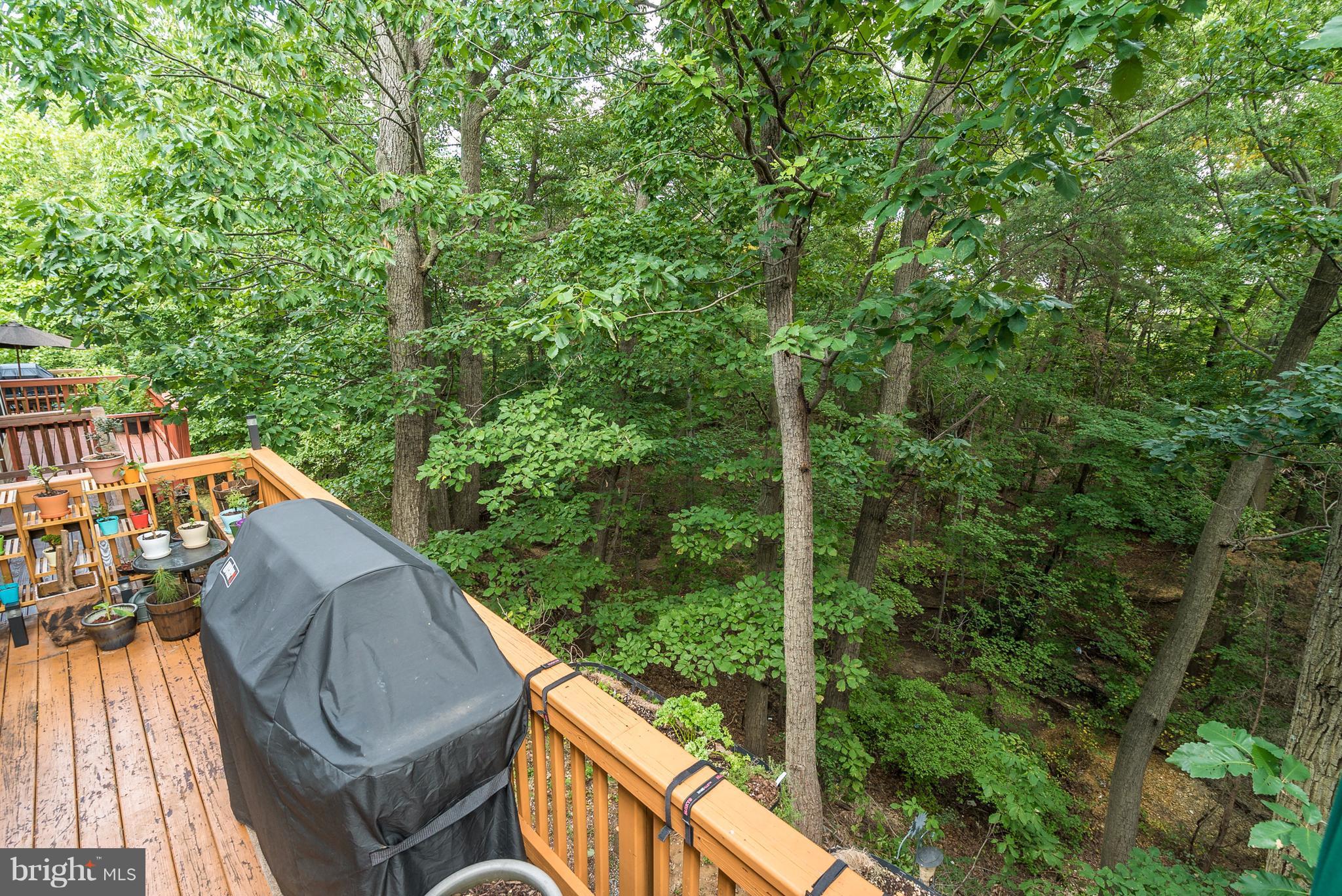6649 Debra Lu Way Springfield, VA 22150 - Photo 22 of 22 Backs to Woods