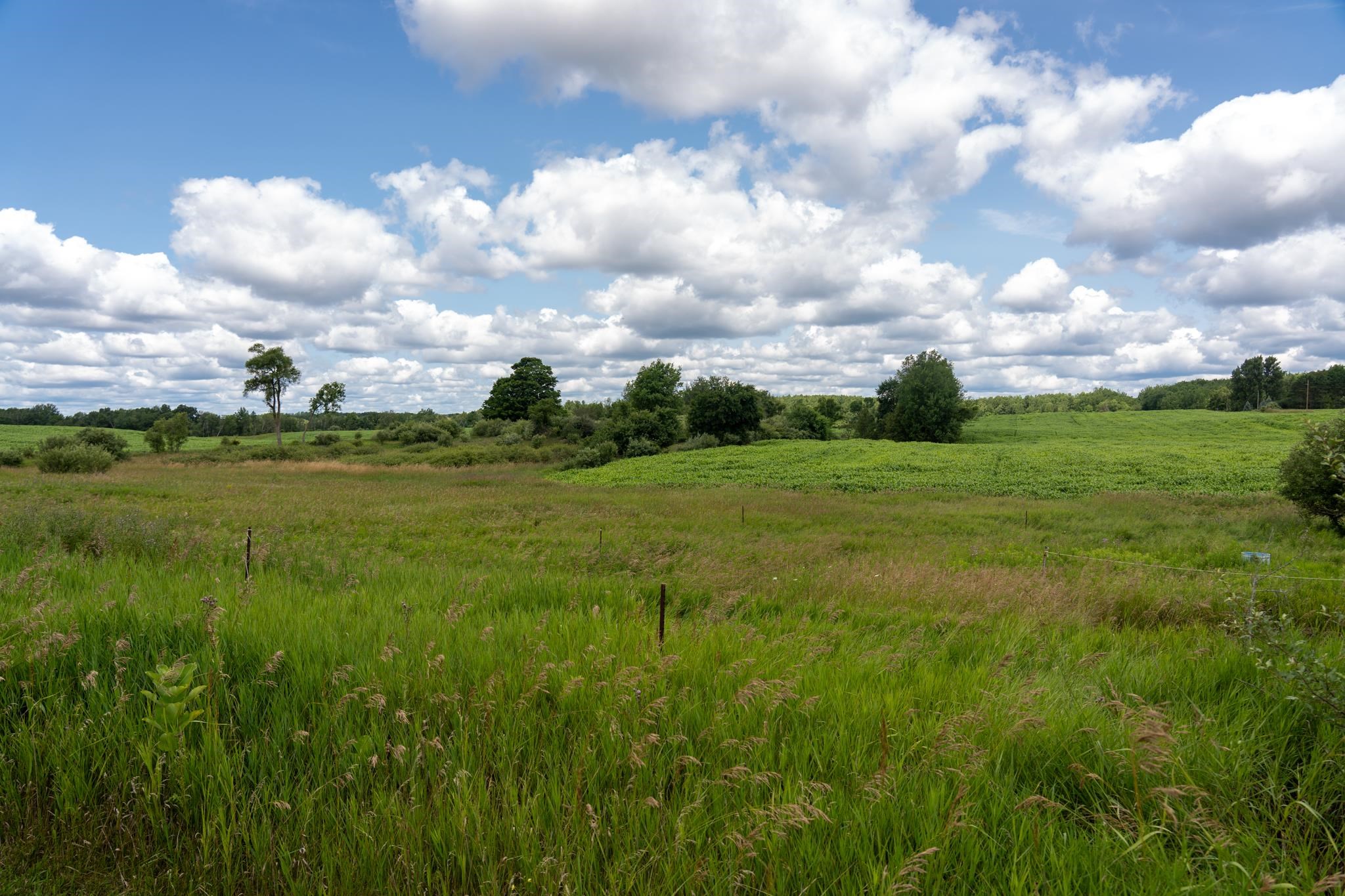 5673 North Littlefield Road Weidman, MI 48893 - Photo 9 of 55 1913477-8.JPG
