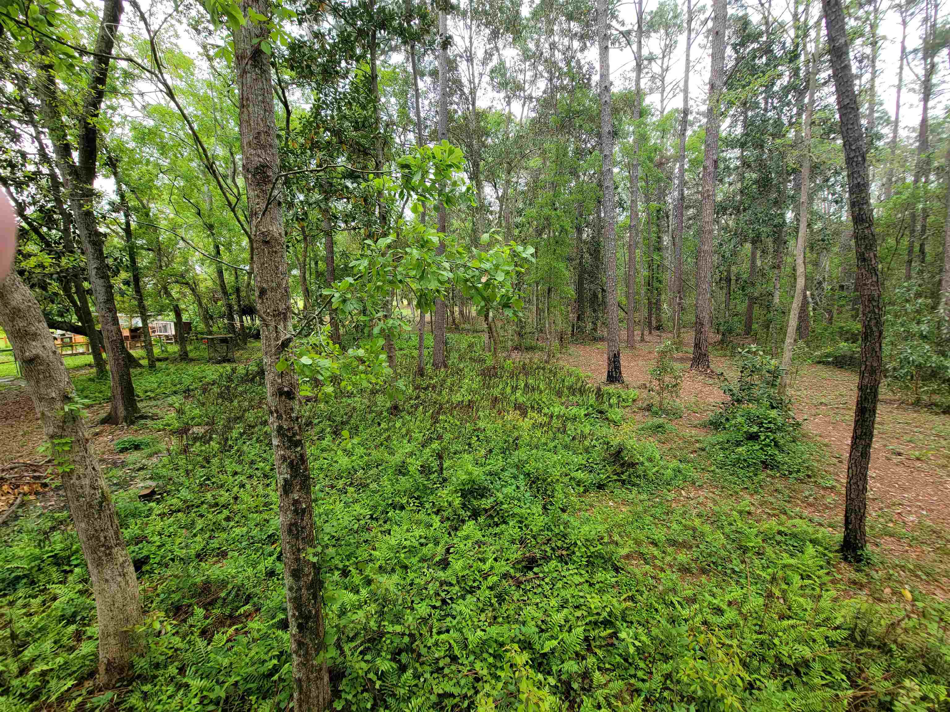 10 County Road Foley, AL 36535 - Photo 14 of 17