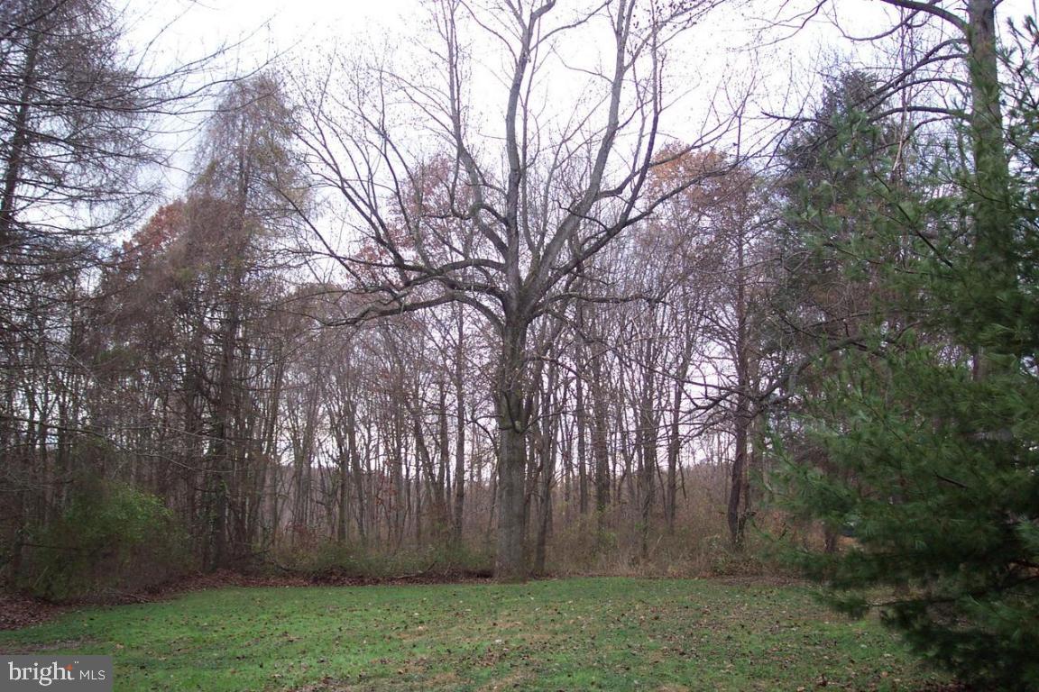 154 Wesley Road Quarryville, PA 17566 - Photo 4 of 13