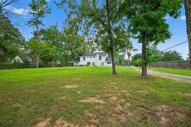 a view of a park with large trees