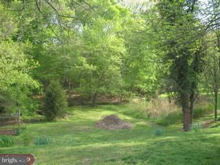 625 Money Road Townsend, DE 19734 - Photo 3 of 6 Gallery Image 3