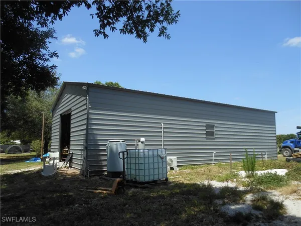 a view of a backyard with plants and large trees