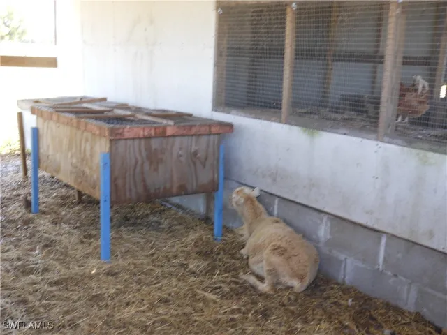 a view of a house with backyard and garden