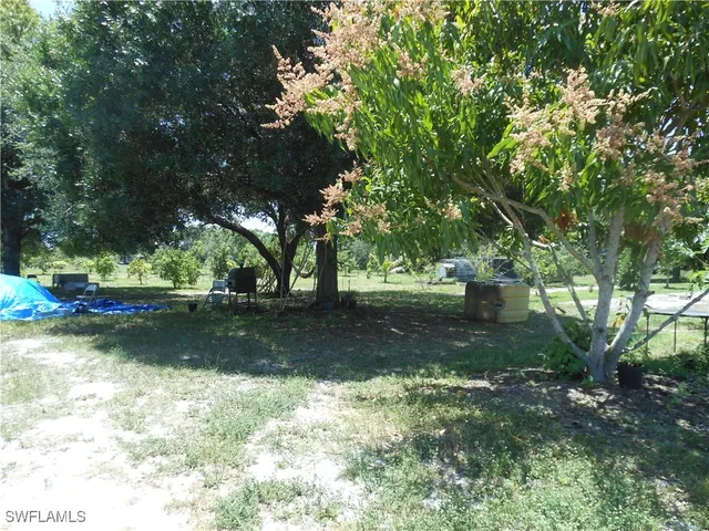 a view of a backyard with large trees