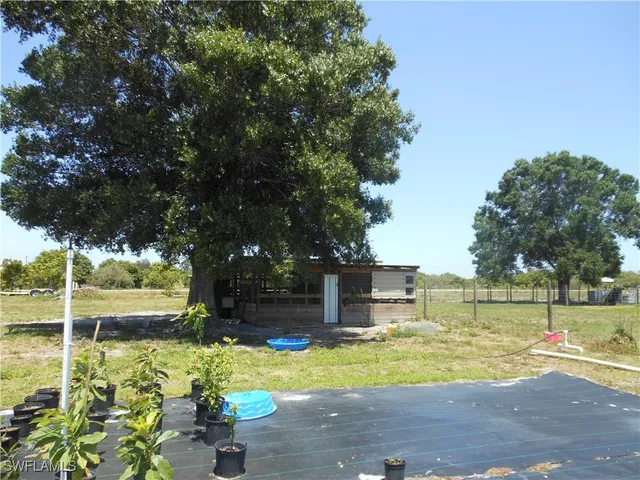 a view of a backyard