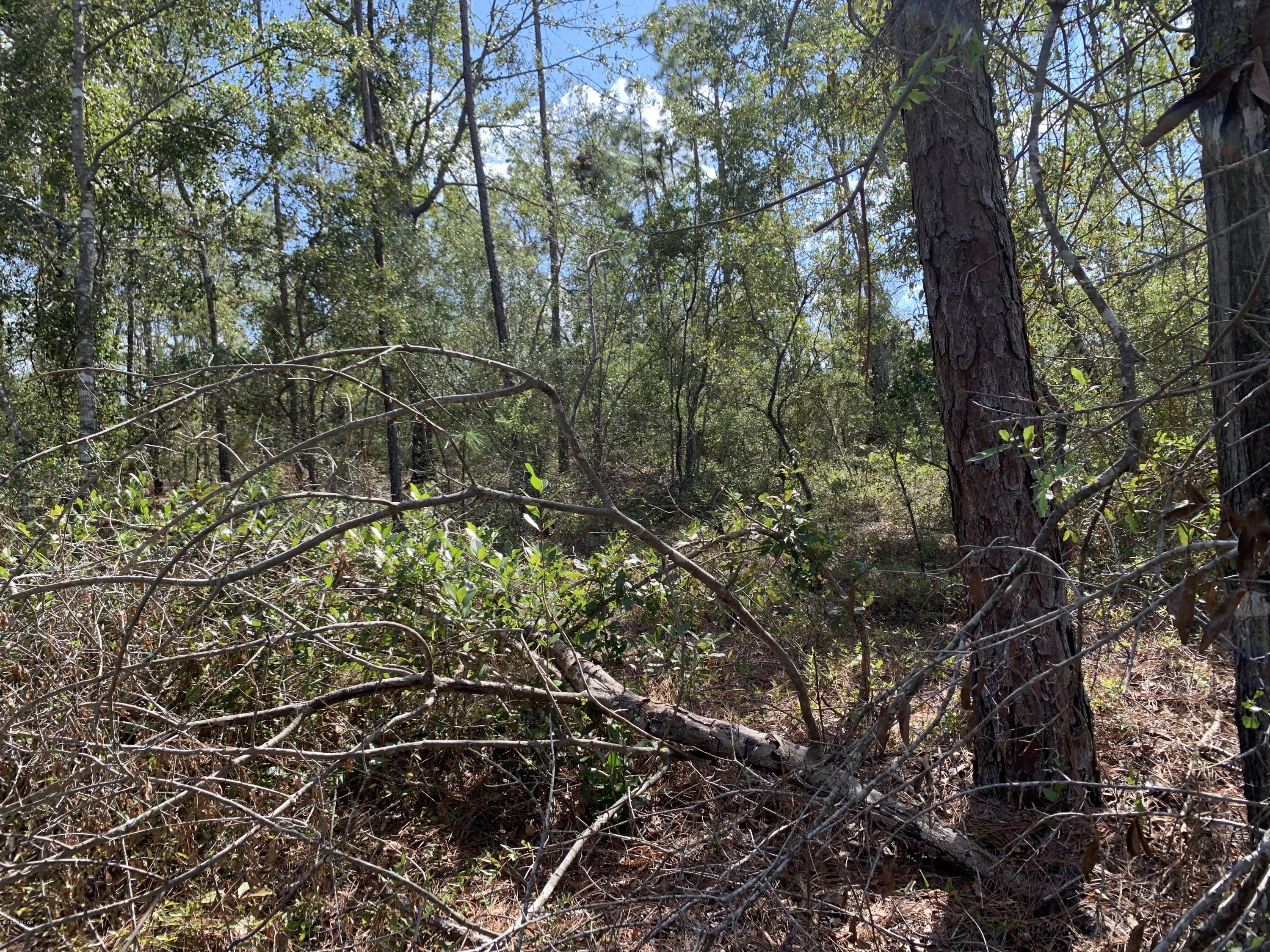 0 Pitts Road Fountain, FL 32438 - Photo 17 of 21 Gallery Image 17