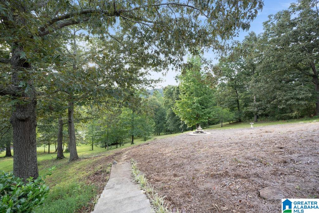 56230 North Highway 231 Oneonta, AL 35121 - Photo 15 of 62