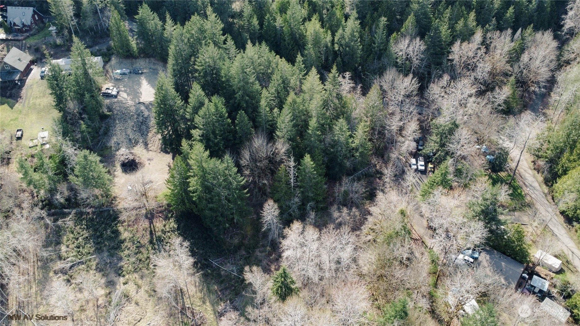 a view of a forest with a house