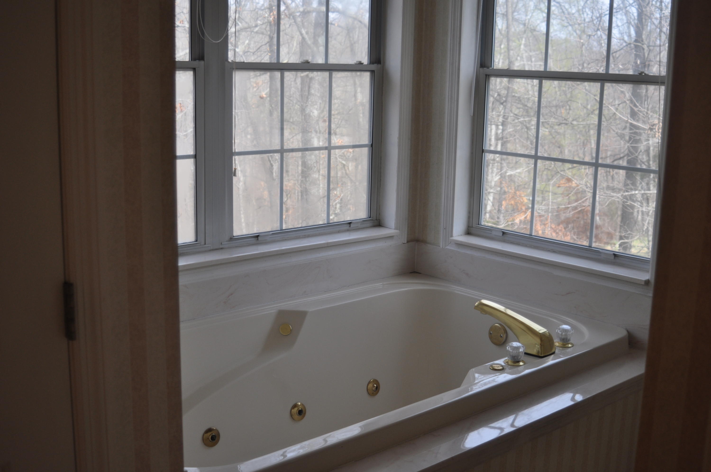 469 Hickory Ridge Trail Ringgold, GA 30736 - Photo 19 of 57 hickory ridge trail 019