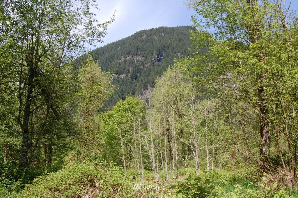 113 Chapman Road Randle, WA 98377 - Photo 1 of 14 Gallery Image 1