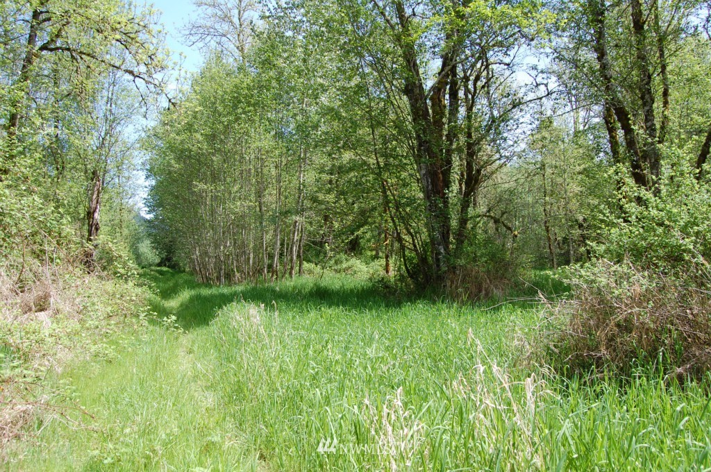 113 Chapman Road Randle, WA 98377 - Photo 2 of 14 Gallery Image 2