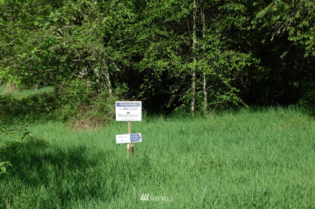 113 Chapman Road Randle, WA 98377 - Photo 13 of 14 Gallery Image 13