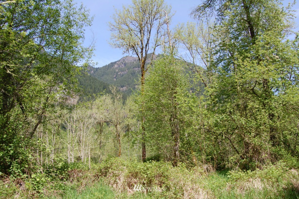 113 Chapman Road Randle, WA 98377 - Photo 7 of 14 Gallery Image 7