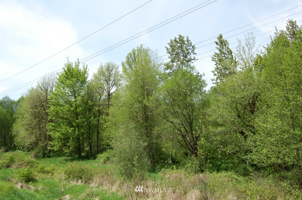 113 Chapman Road Randle, WA 98377 - Photo 9 of 14 Gallery Image 9