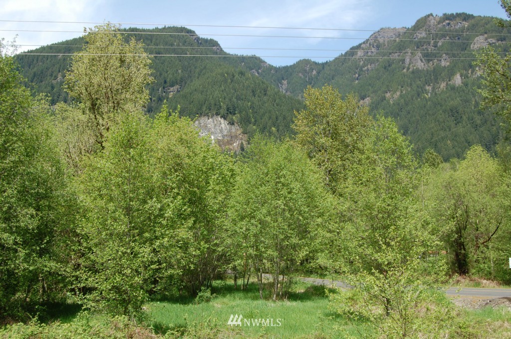113 Chapman Road Randle, WA 98377 - Photo 10 of 14 Gallery Image 10