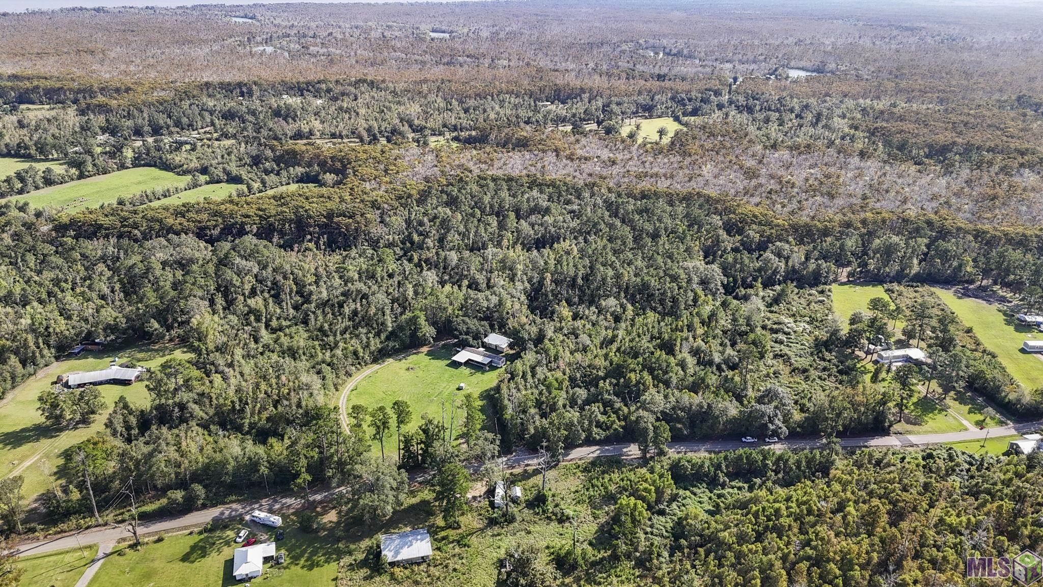 29794 Lower Rome Road Springfield, LA 70462 - Photo 7 of 13