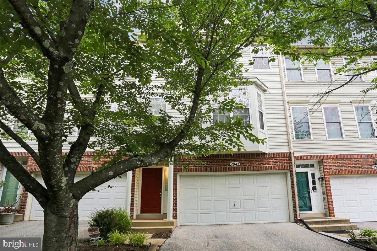 2943 St Helen Circle Silver Spring, MD 20906 - Photo 3 of 40 Charming townhouse with lush greenery.