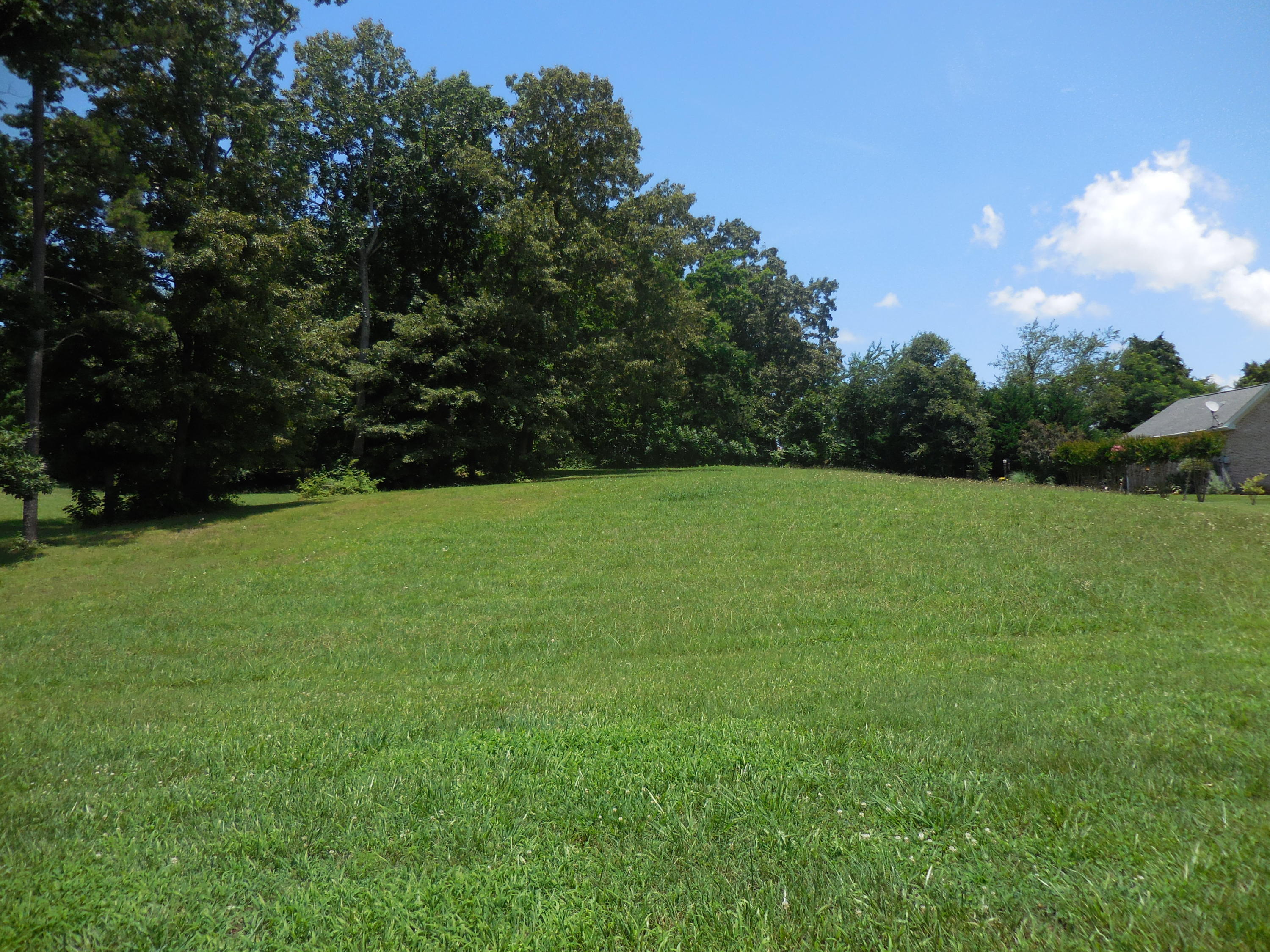 Lot 143 Baye Road Rutledge, TN 37861 - Photo 2 of 6 DSCN1834