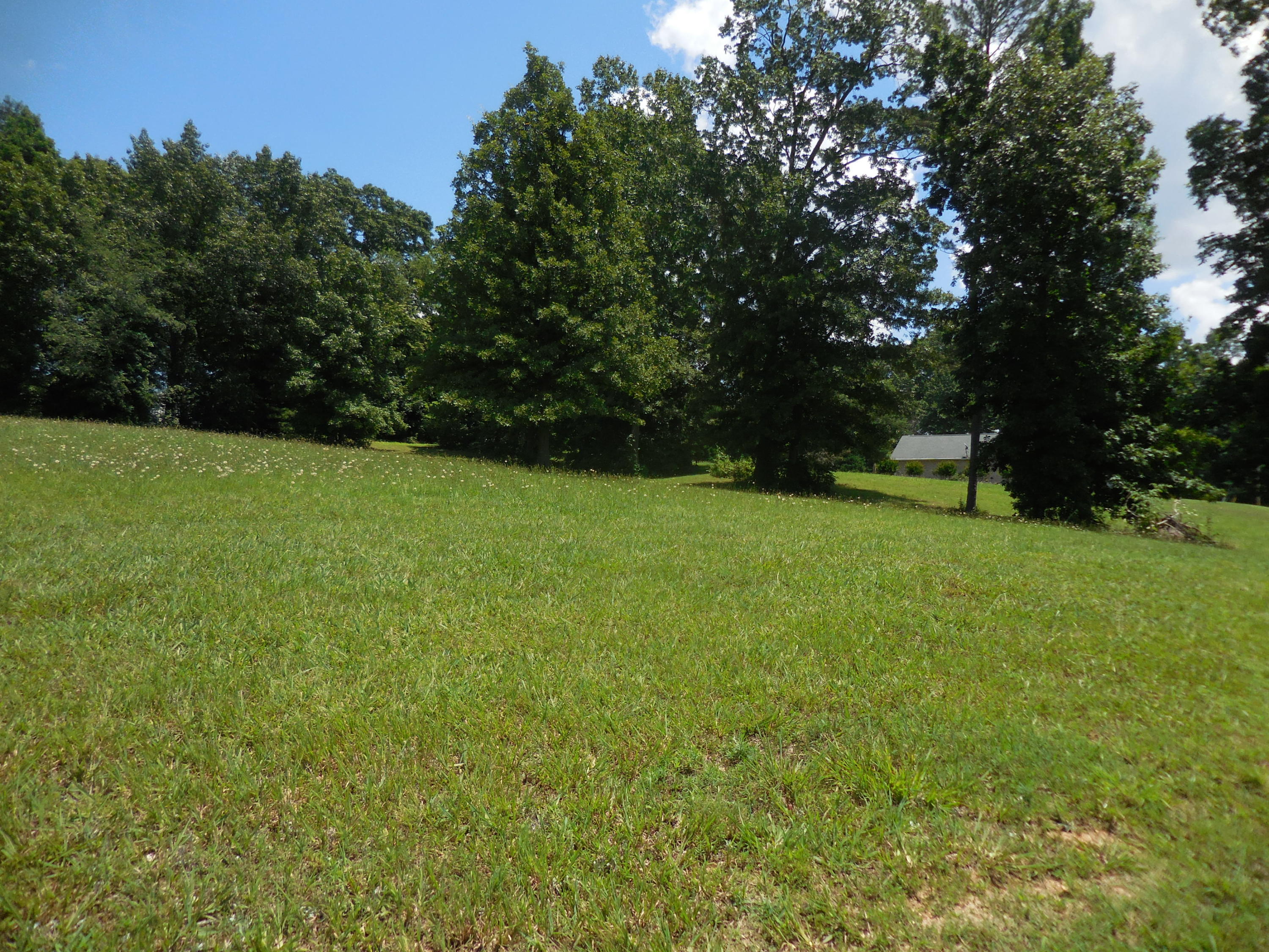Lot 143 Baye Road Rutledge, TN 37861 - Photo 5 of 6 DSCN1840