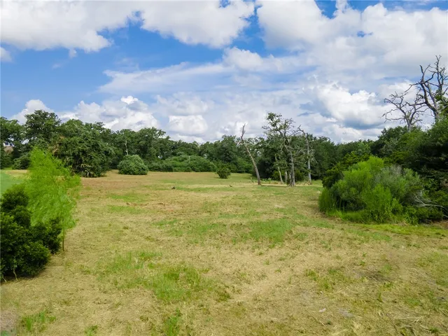 a view of a garden with an outdoor space