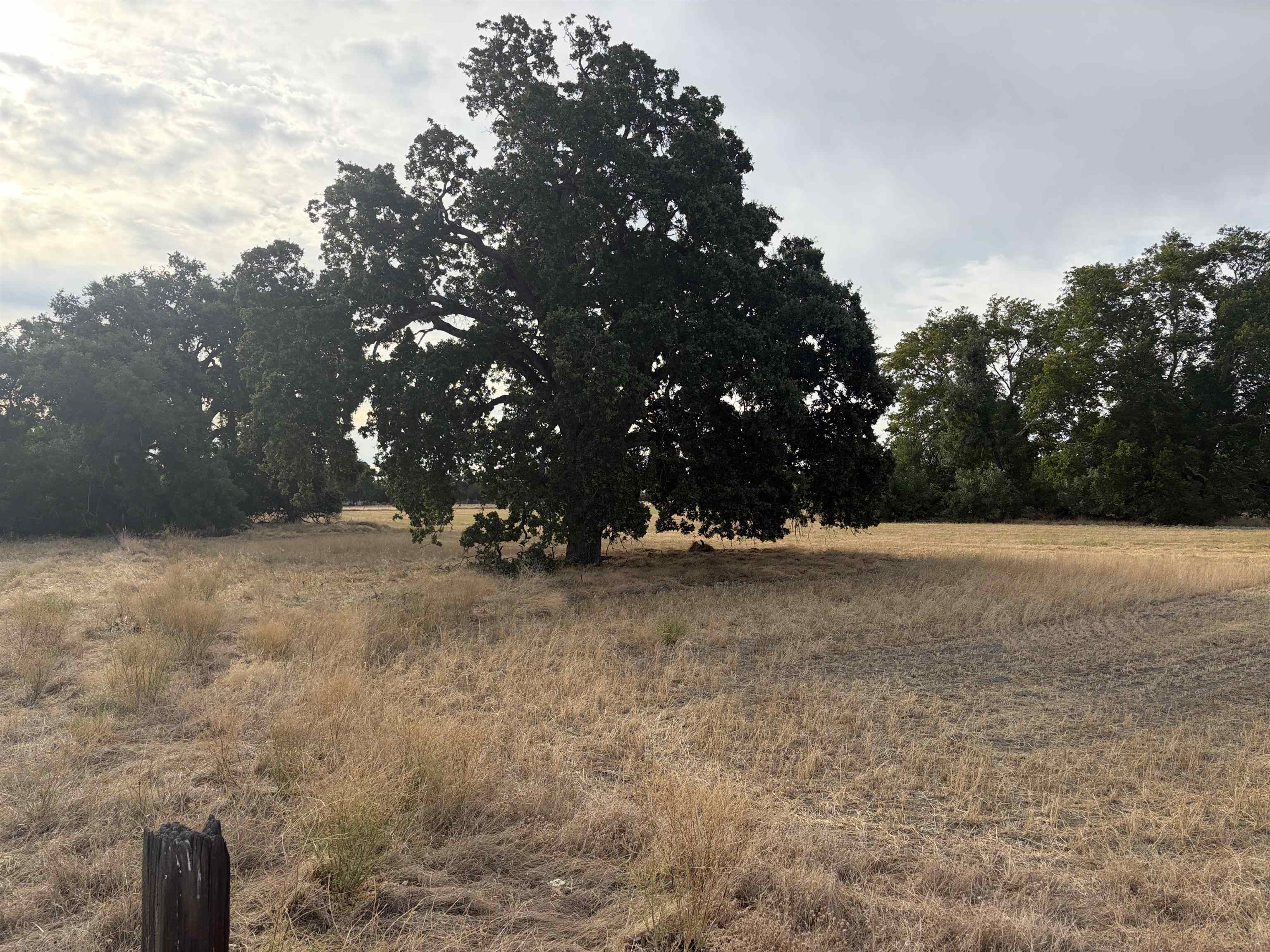 19115 Simpson Road Corning, CA 96021 - Photo 30 of 35