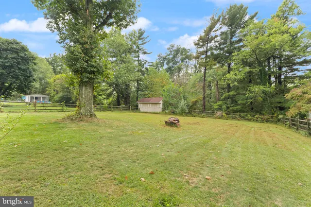 a view of a trees with basketball court