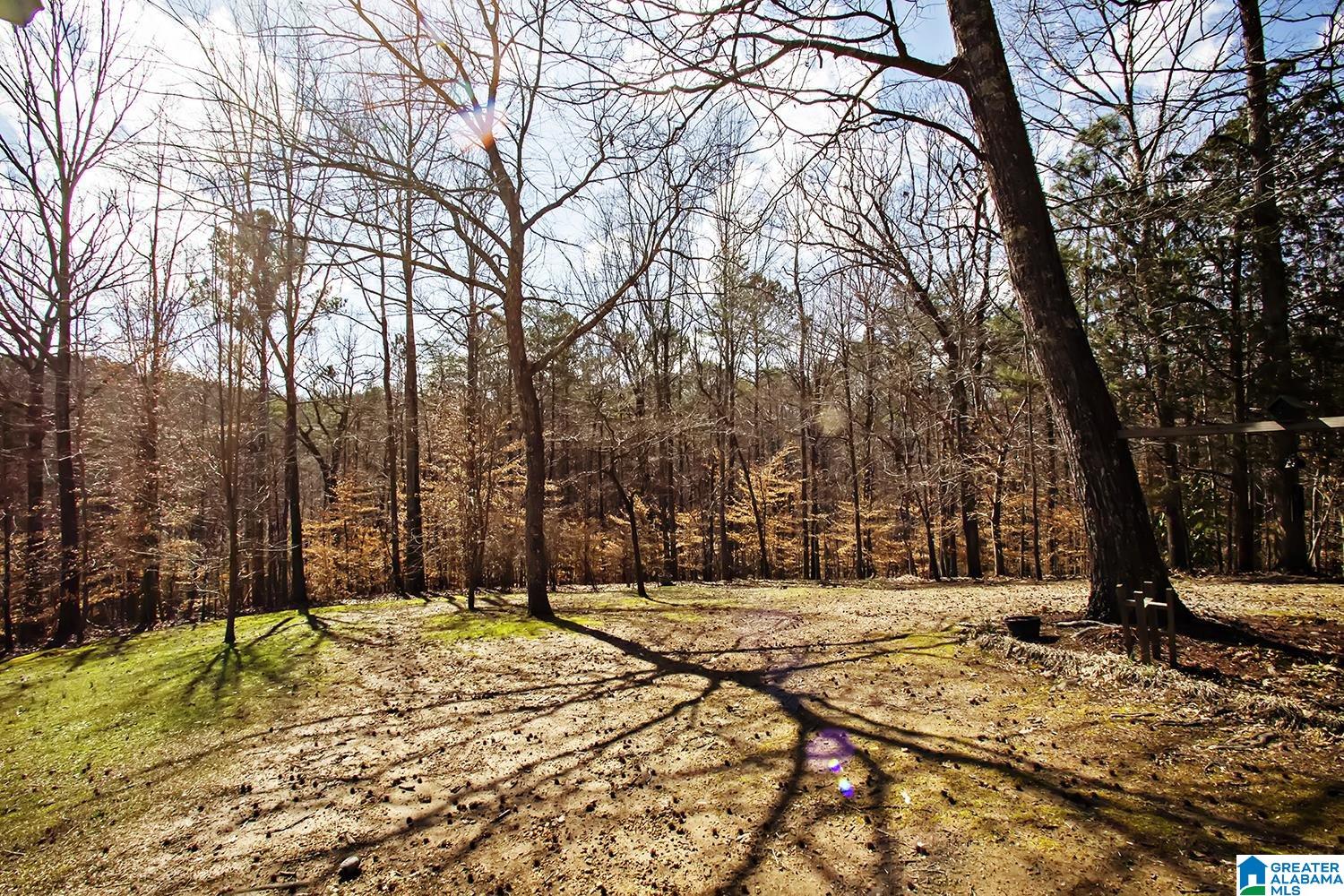 6911 Deer Haven Road Pinson, AL 35126 - Photo 39 of 52
