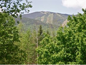 38 A Snow's Mountain Road, Unit A Waterville Valley, NH 03215 - Photo 3 of 24 Gallery Image 3