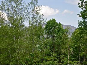 38 A Snow's Mountain Road, Unit A Waterville Valley, NH 03215 - Photo 24 of 24 Gallery Image 24