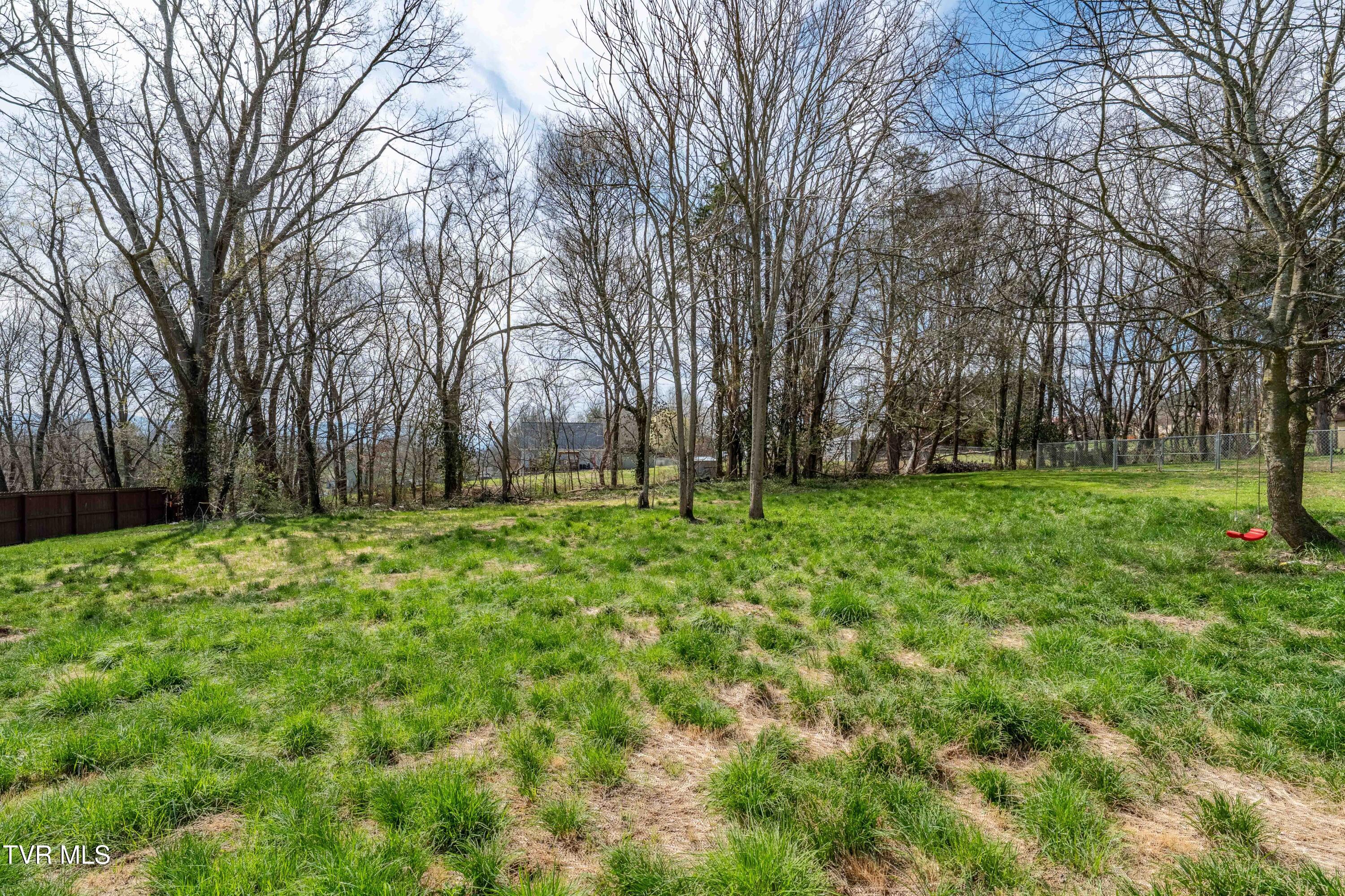 226 Dorothy Circle Limestone, TN 37681 - Photo 16 of 59 226 Dorothy Cir (15 of 61)