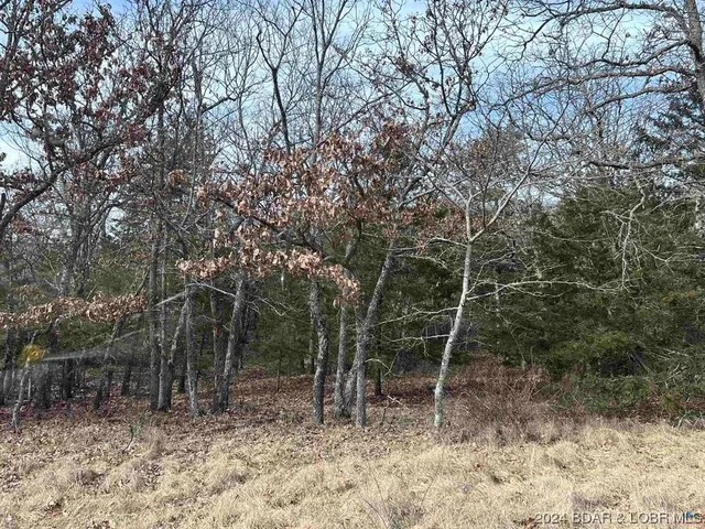 $1,496,880 | 40773 Waisner Avenue, Edwards, MO 65326