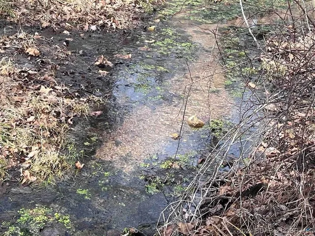 $1,496,880 | 40773 Waisner Avenue, Edwards, MO 65326