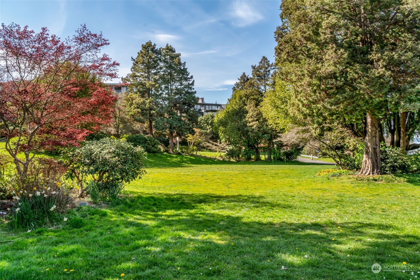 1330 California Avenue Southwest Seattle, WA 98116 - Photo 23 of 24 a view of an outdoor space and a yard