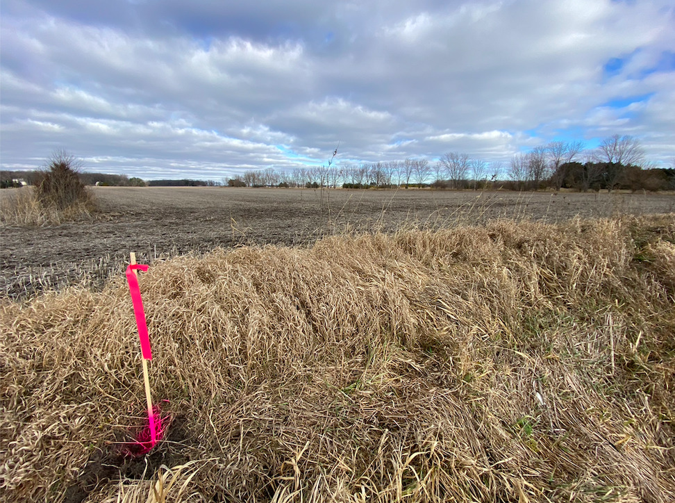 0 Burlington Road Elgin, IL 60124 - Photo 19 of 28 a view of a lake