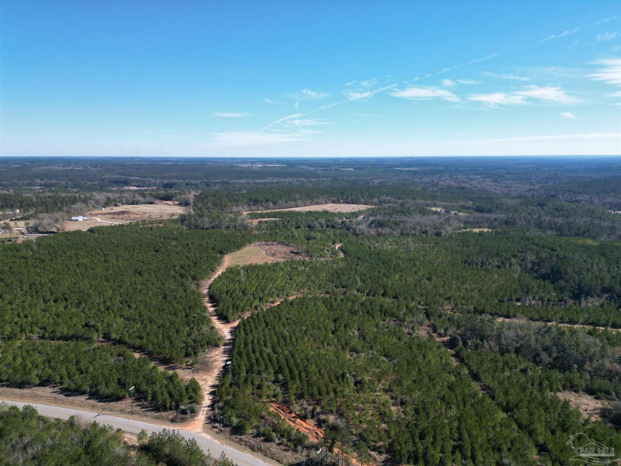 1 Robinsonville Road Atmore, AL 36502 - Photo 16 of 18
