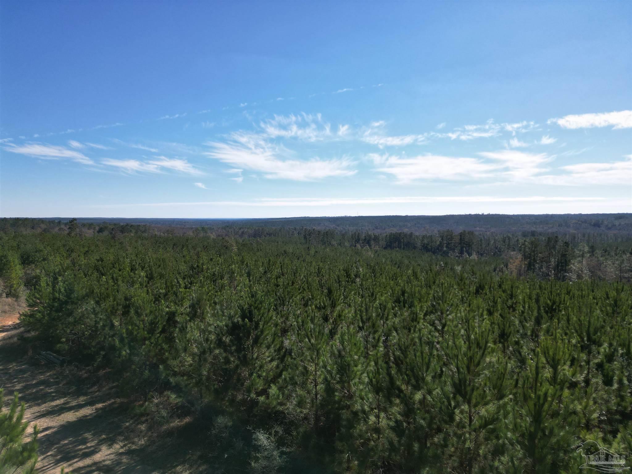 1 Robinsonville Road Atmore, AL 36502 - Photo 18 of 18