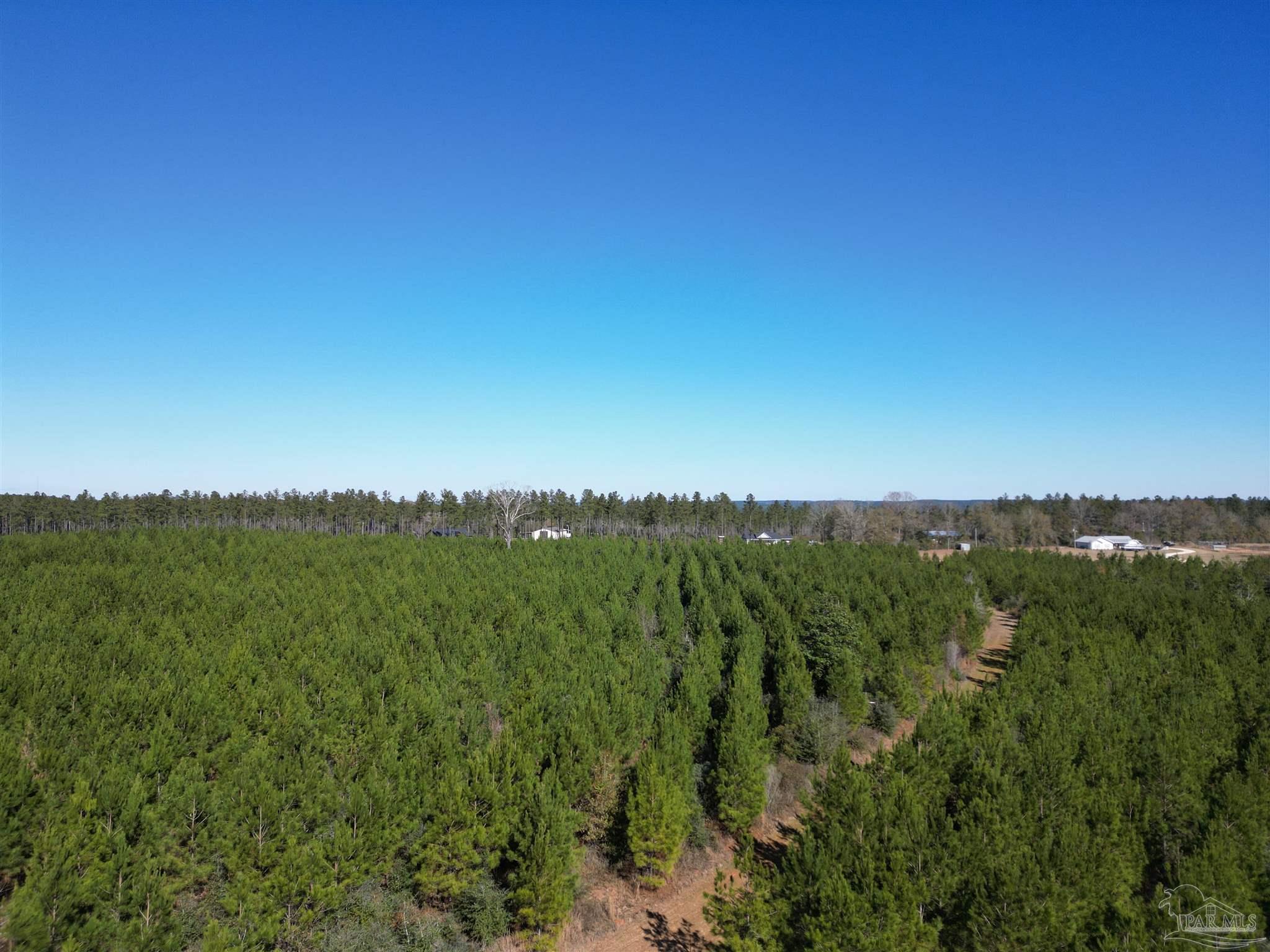 1 Robinsonville Road Atmore, AL 36502 - Photo 5 of 18