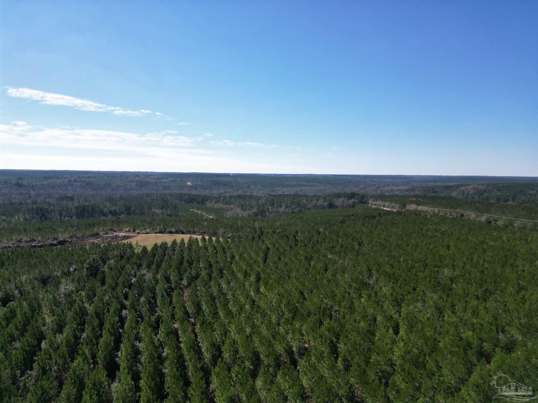 1 Robinsonville Road Atmore, AL 36502 - Photo 6 of 18