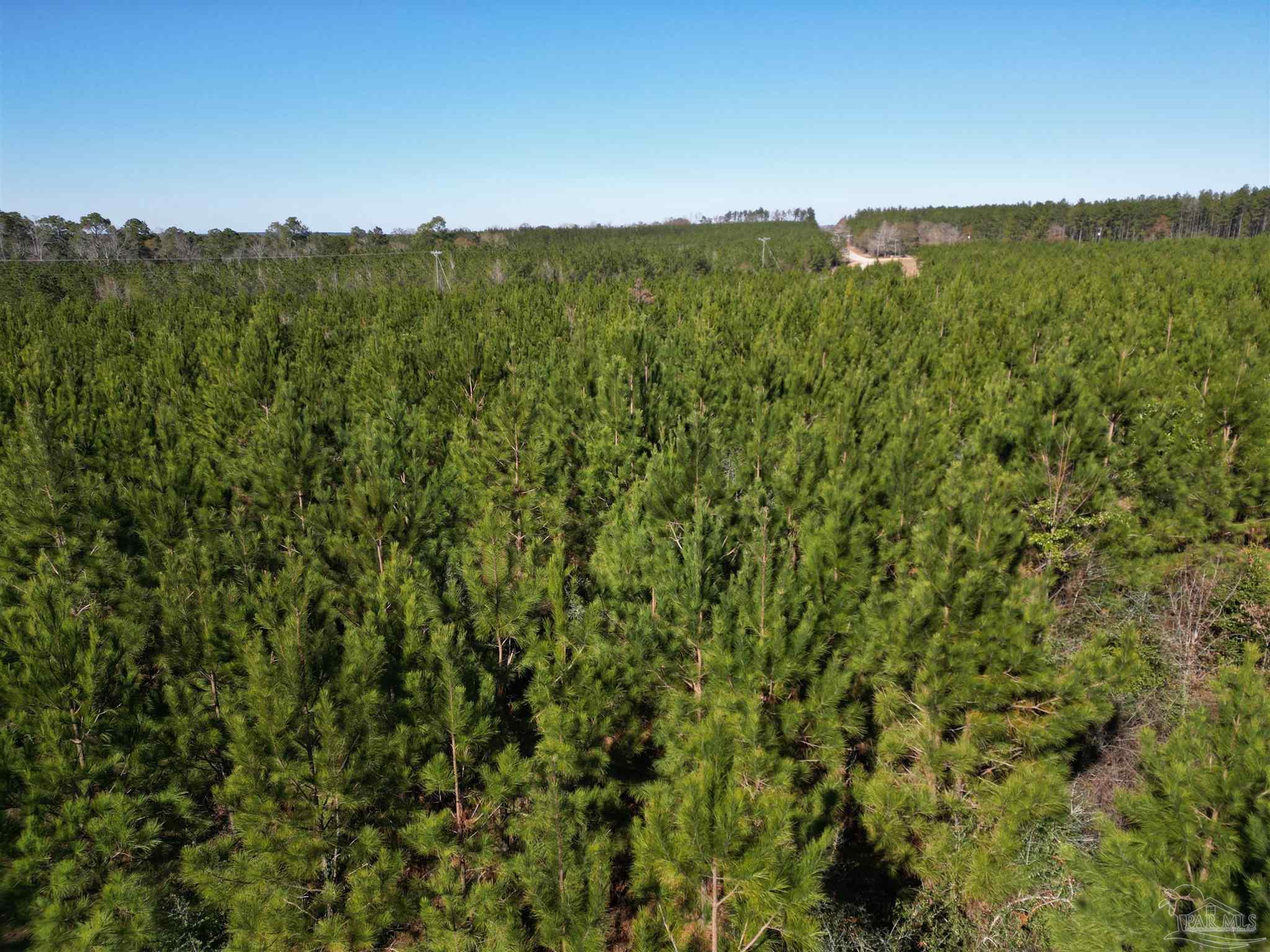 1 Robinsonville Road Atmore, AL 36502 - Photo 10 of 18