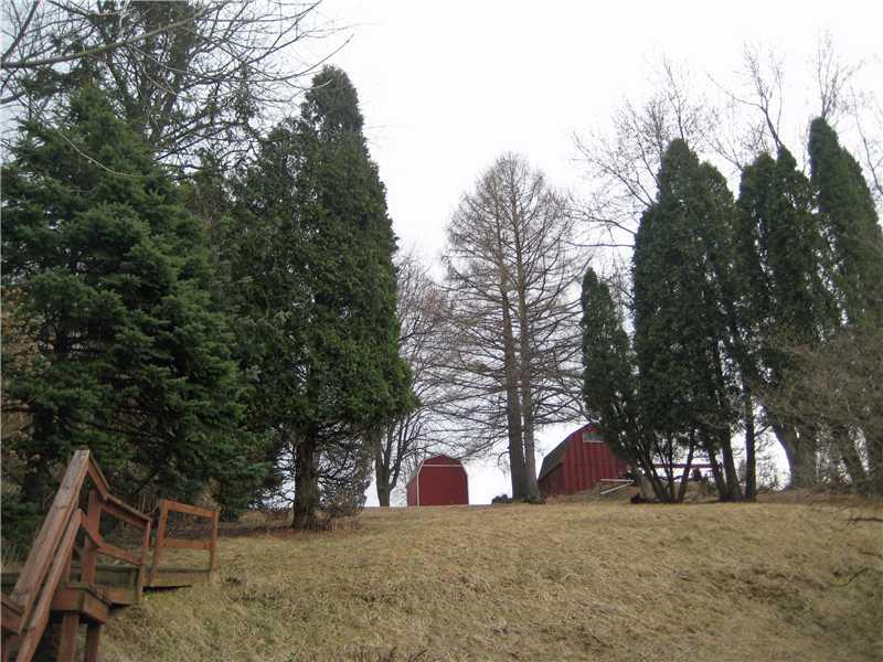 3203 McRoberts Road Castle Shannon, PA 15234 - Photo 21 of 25 Yard/Garden. the shed is included in the purchase of this home, store all of your tools, mowers and seed!!