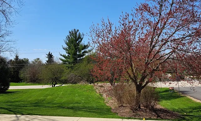 a backyard of a house with lots of green space
