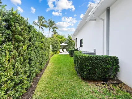 a view of a yard with plants and a bench