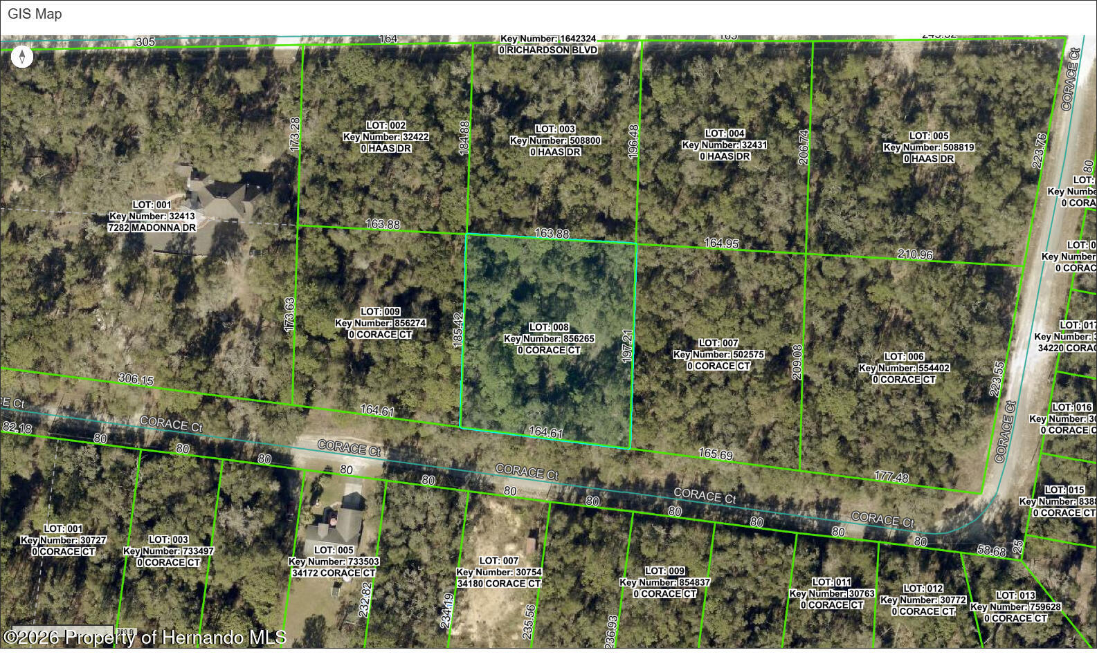 0 Corace Court Webster, FL 33597 - Photo 1 of 1