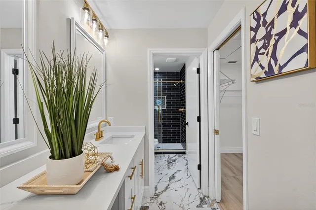 a view of a hallway to a livingroom with furniture and a potted plant