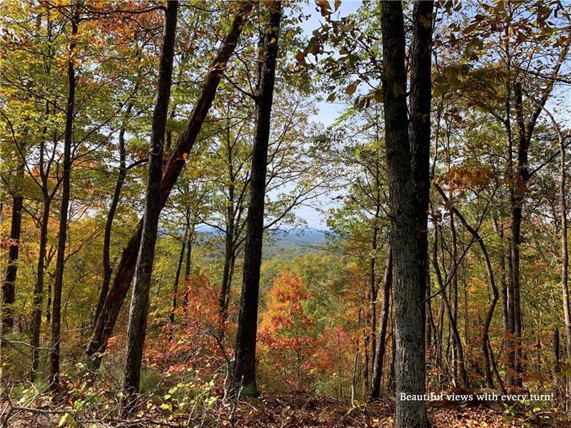 1087 Mayfield Lane Northeast Ranger, GA 30734 - Photo 5 of 22