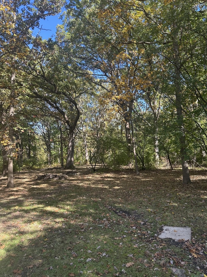 26220 North Midlothian Road Mundelein, IL 60060 - Photo 1 of 19 a view of outdoor space with trees